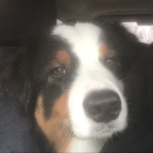 Meet your Posher, Toni